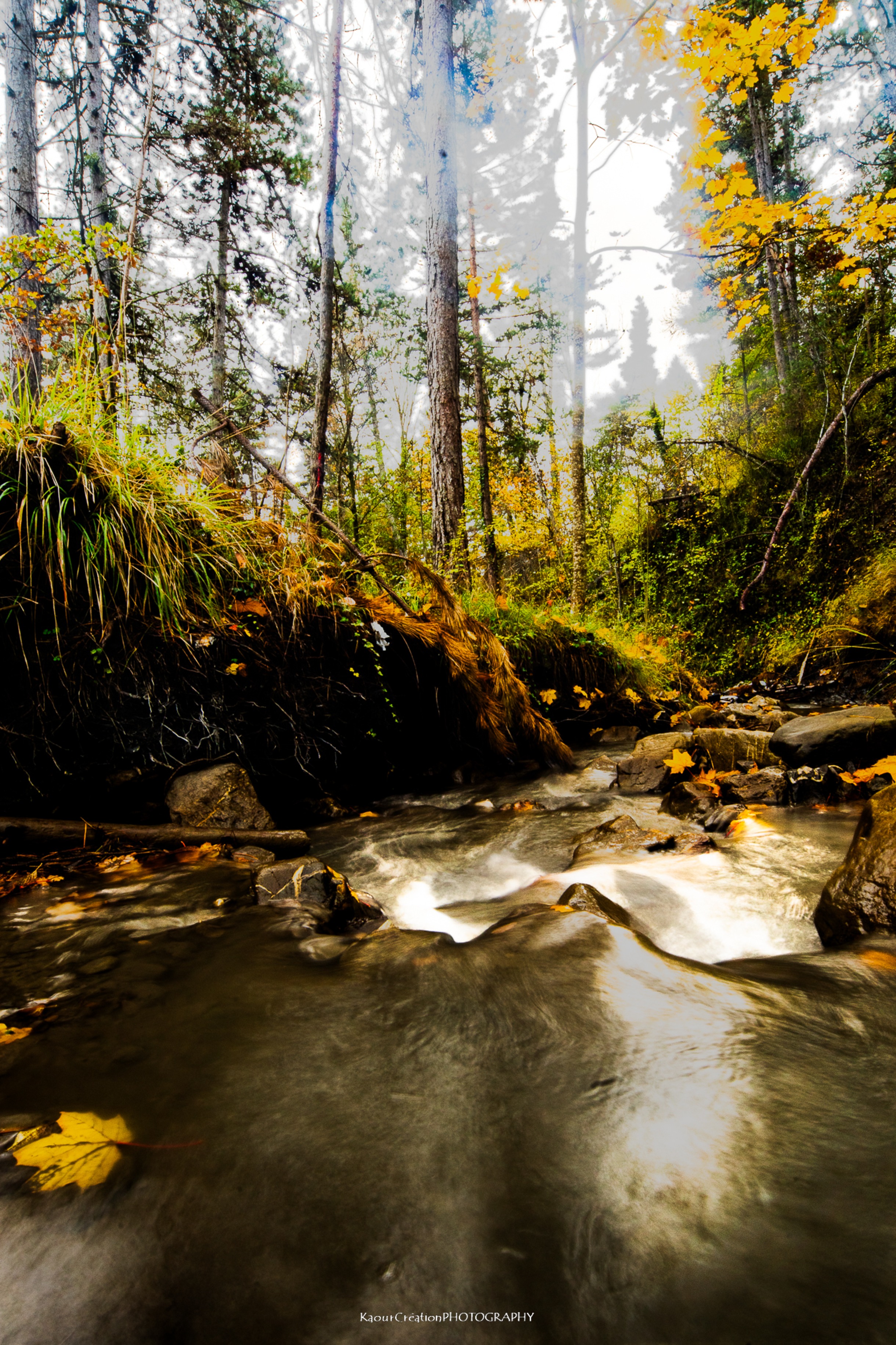 Rivière