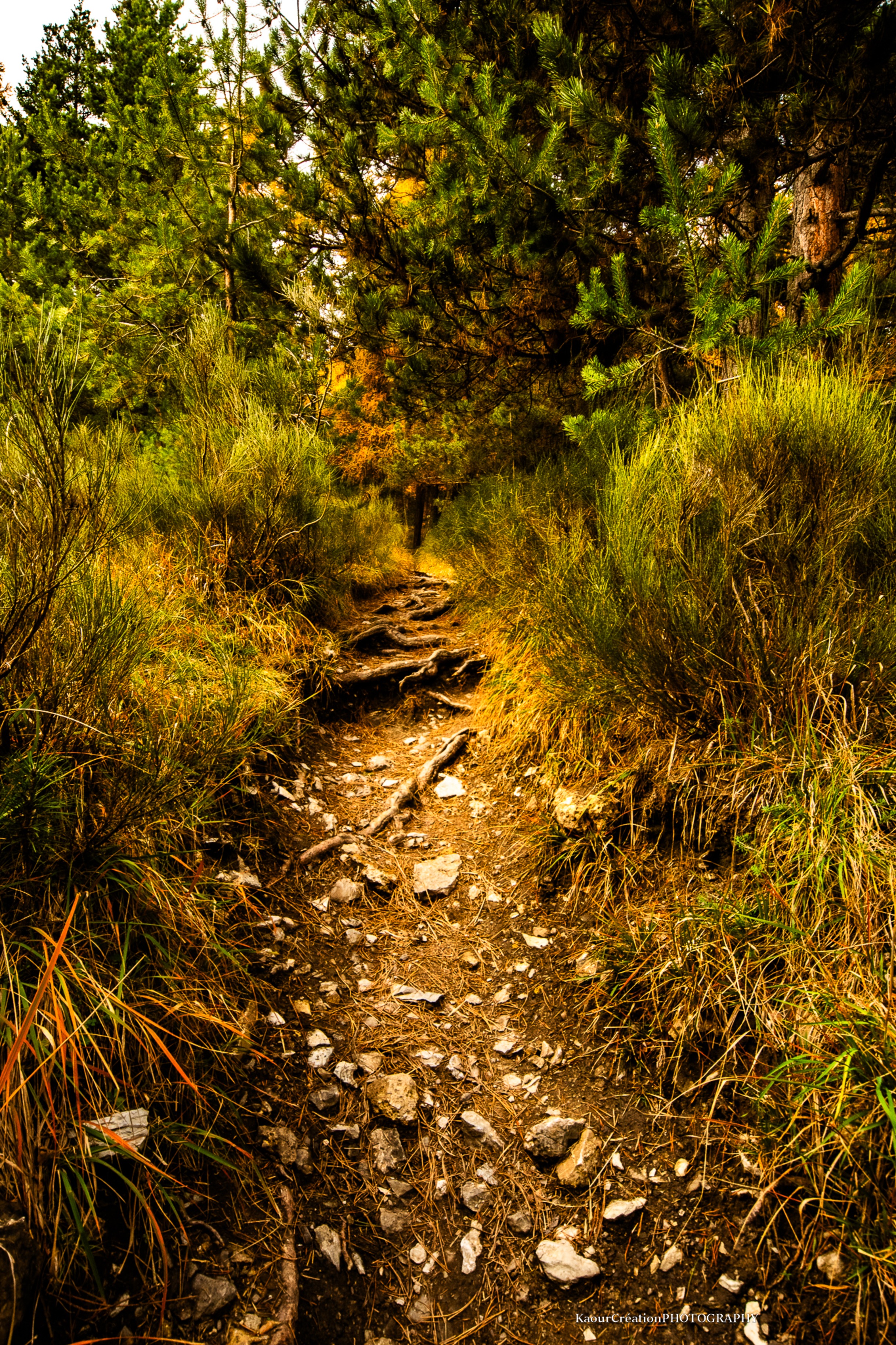Chemin