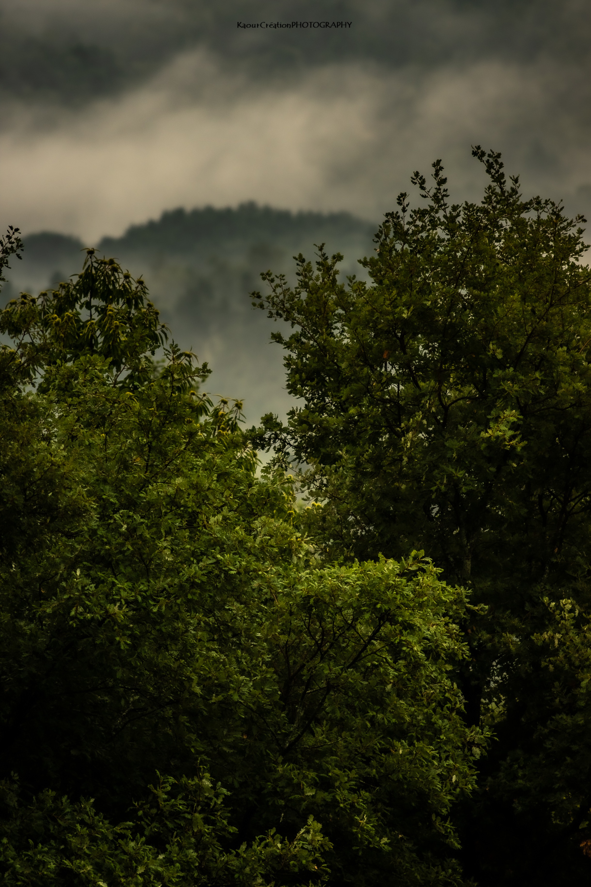 Silence